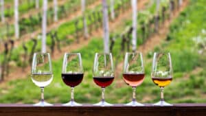 wine tasting tour ky