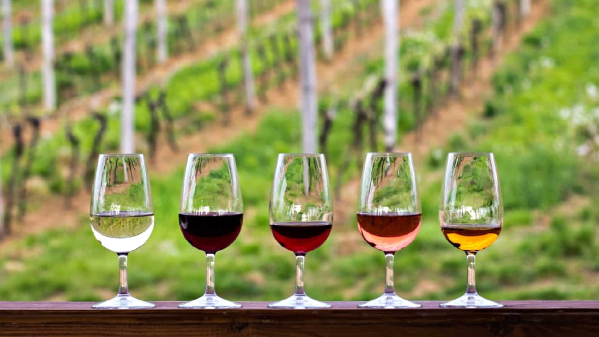 wine tasting tour ky
